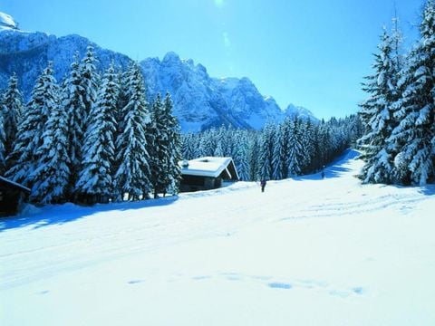 Camping Cevedale - Camping Trento - Image N°2