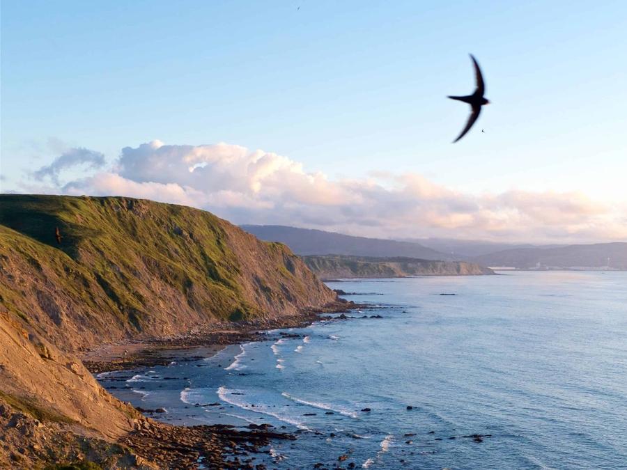 wecamp Cudillero Asturies - Cudillero visuel 5/9