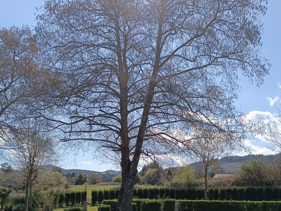 wecamp Cudillero Asturies - Cudillero visuel 7/9