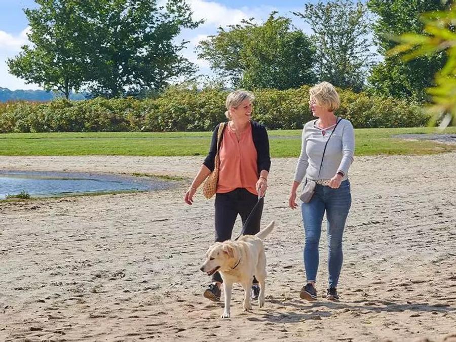 Pays-Bas - Siblu Camping Meerwijck, 5*
