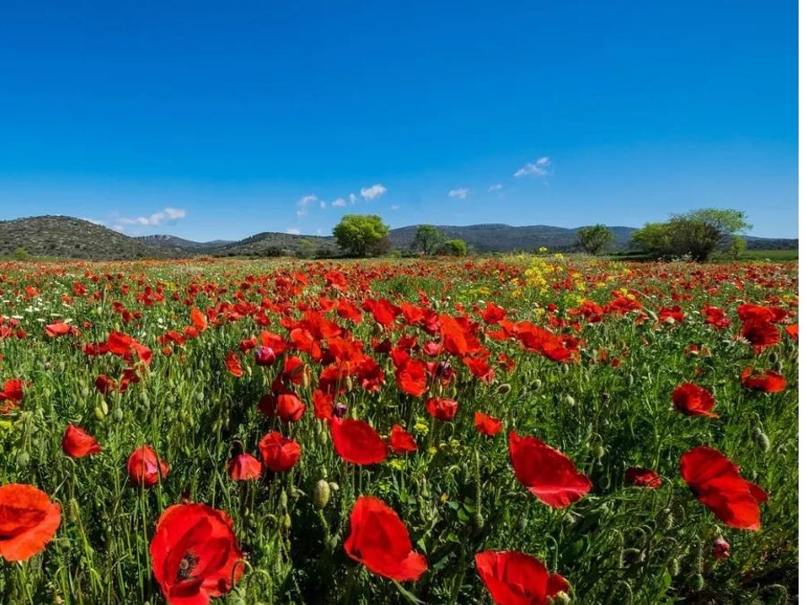 France - Camping Le Luberon | Pausado, 4*