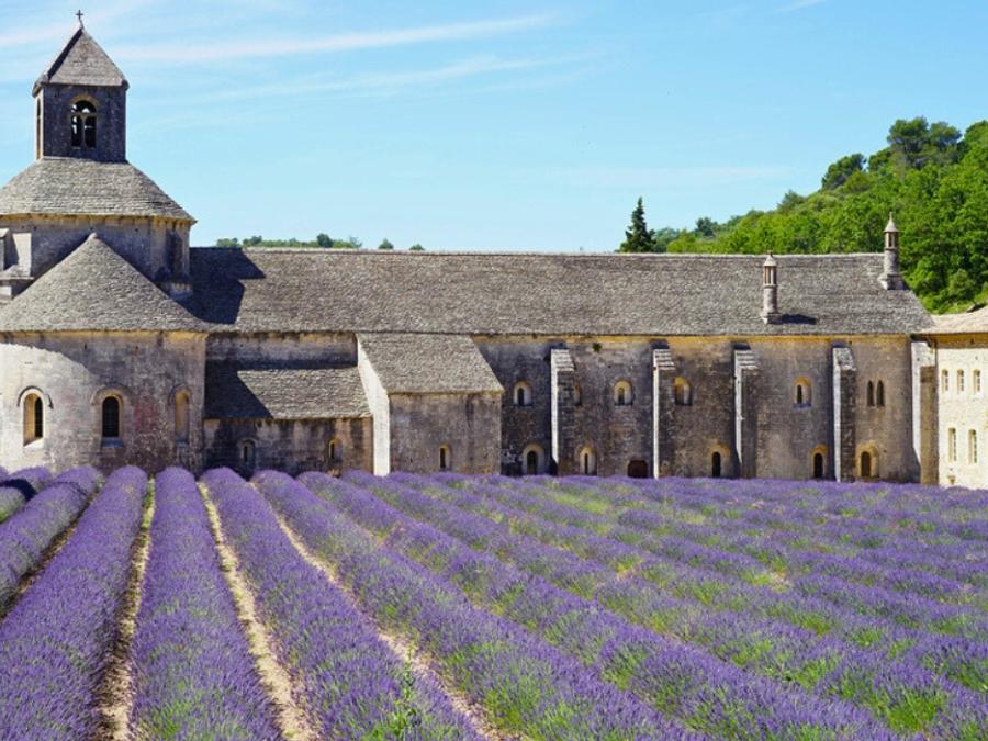 France - Camping Le Luberon | Pausado, 4*