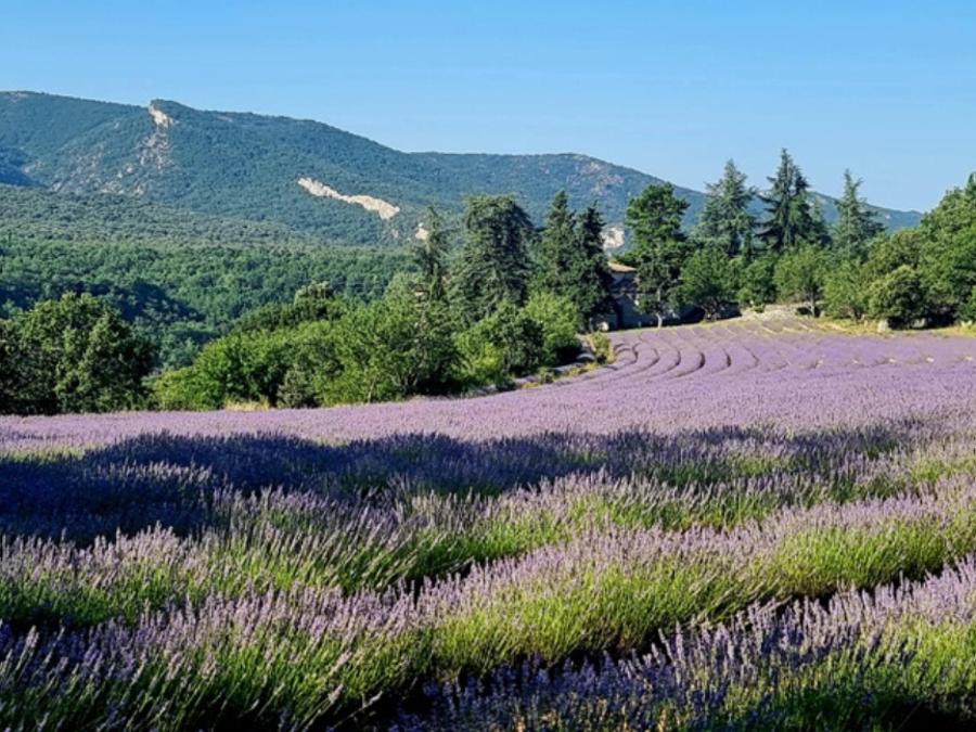 France - Camping Le Luberon | Pausado, 4*