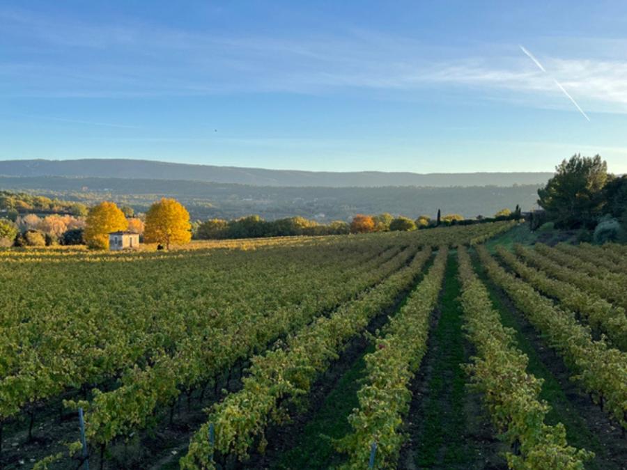 France - Camping Le Luberon | Pausado, 4*