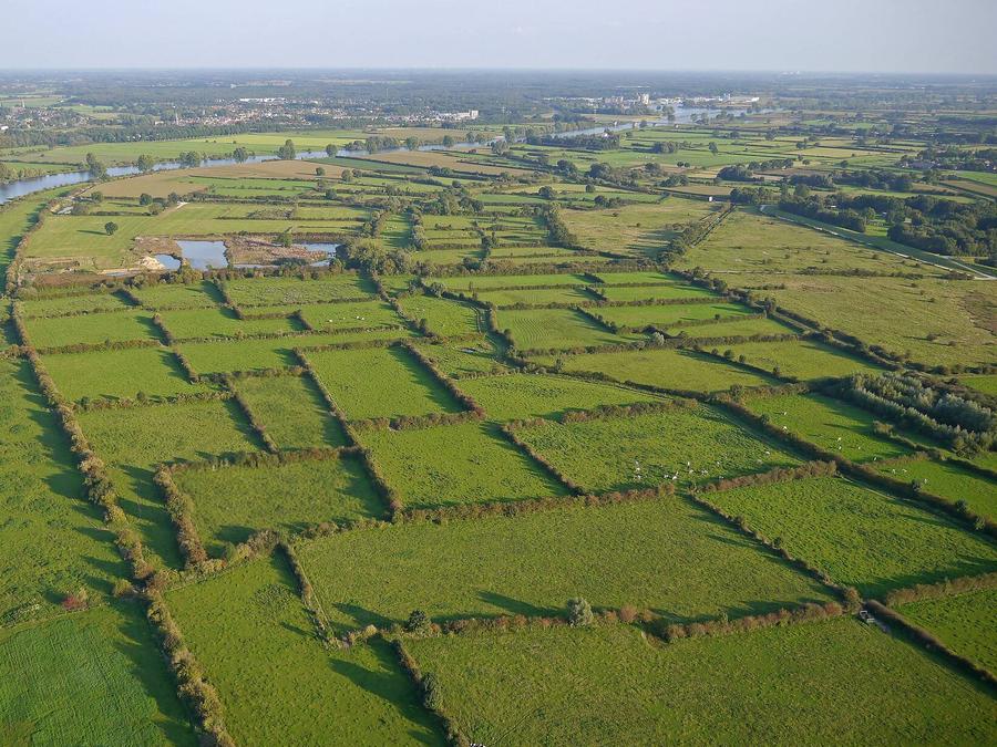 Tour Opérateur sur Vakantiepark de Bergen