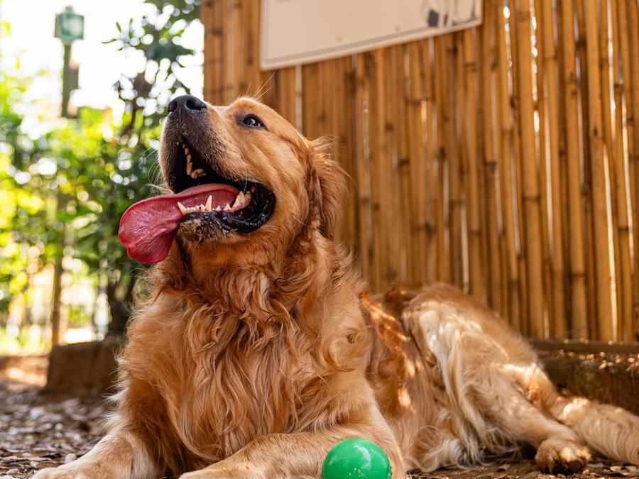 Roseto degli Abruzzi Easy Camping Village Sardaigne - Aglientu visuel 6/10