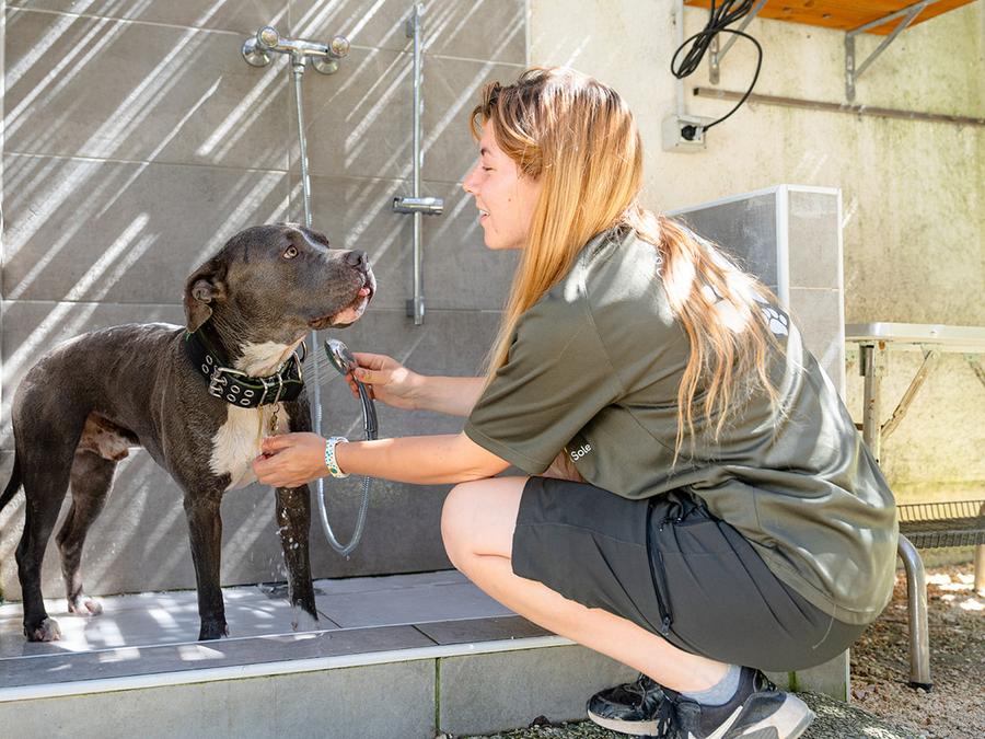 Roseto degli Abruzzi Easy Camping Village Sardaigne - Aglientu visuel 8/10