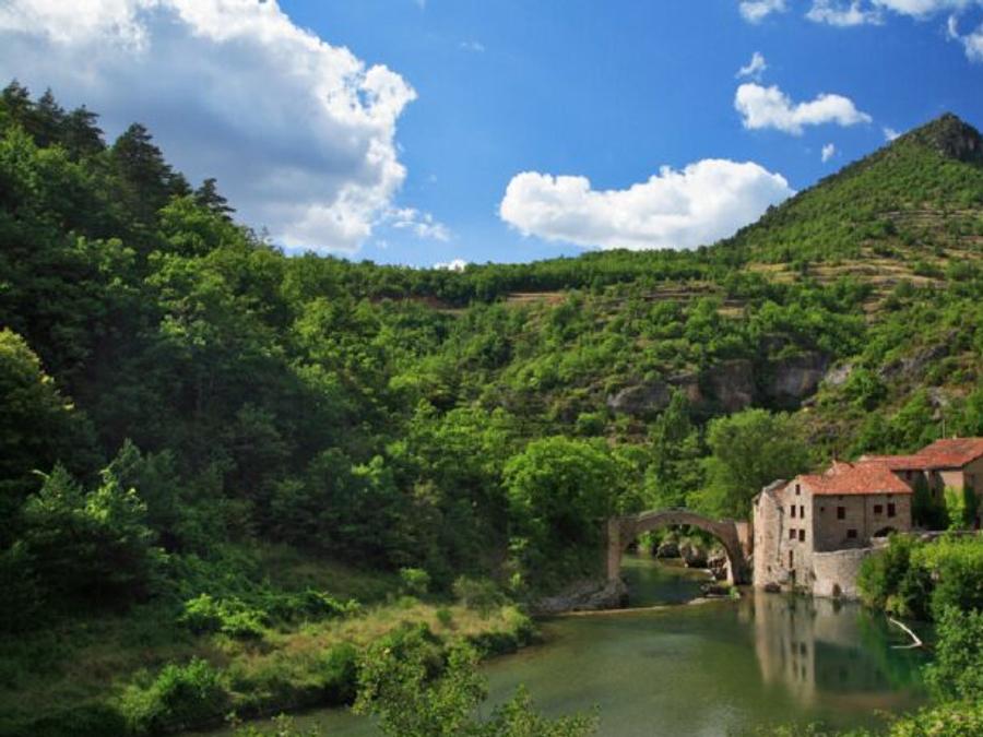 La Claparede Midi-Pyrénées - Saint-Jean-du-Bruel visuel 6/36