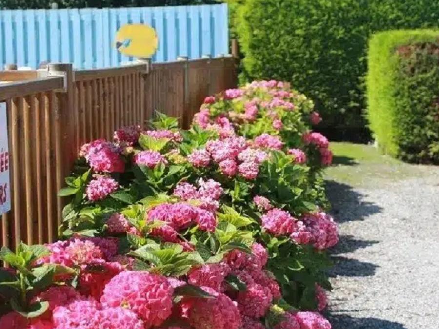 France - Camping les 2 Plages Quend, 3*