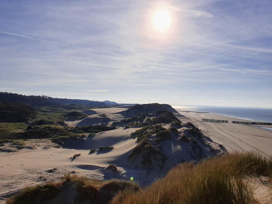 Pays-Bas - Camping Ginsterveld