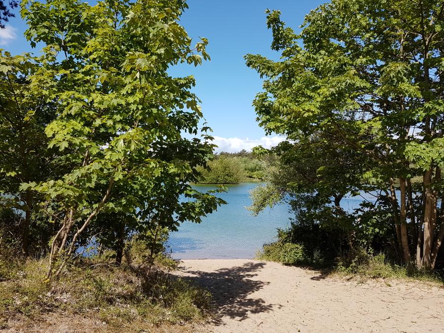 Pays-Bas - Camping Ginsterveld