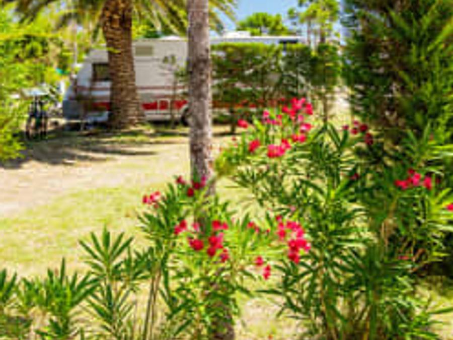 France - Camping Siblu Club Le Marisol Funpass inclus, 5*