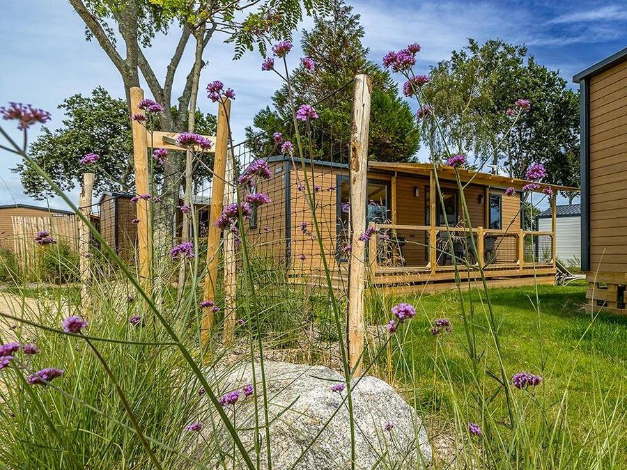 Flower Camping Domaine de Pendruc, 4* - 36