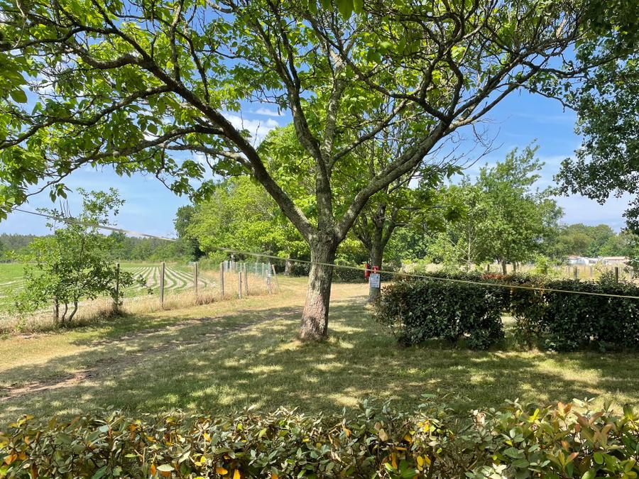 Camping Ushuaïa Villages La Maïade, 3* - 21