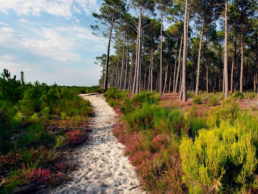 Camping Ushuaïa Villages La Maïade, 3* - 37