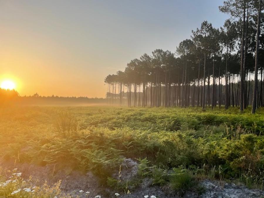 Camping Ushuaïa Villages La Maïade, 3* - 18