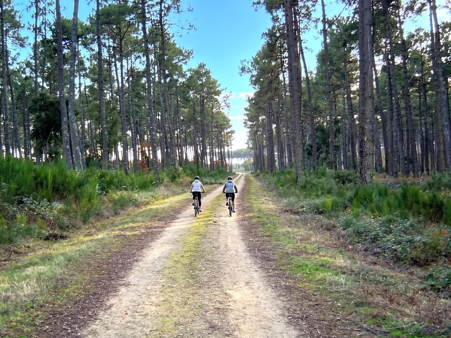 Camping Lou Payou, 2* - 15