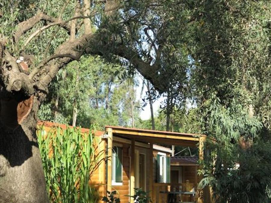 Italie - Sardaigne (Italie) - Camping Ultima Spiaggia, 4*