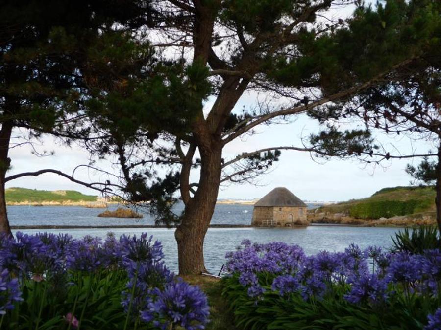 Camping Le Panoramic, 4* - 38