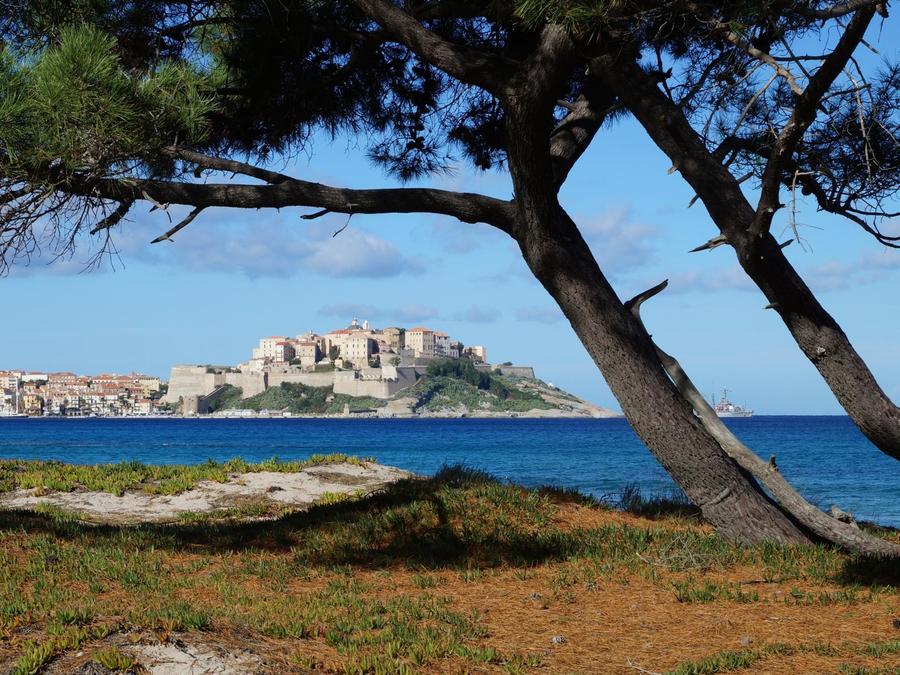 France - Corse (France) - Calvi - Camping Bella Vista, 3*