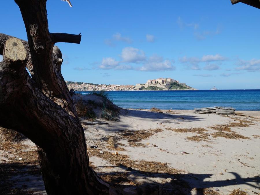 France - Corse (France) - Calvi - Camping Bella Vista, 3*