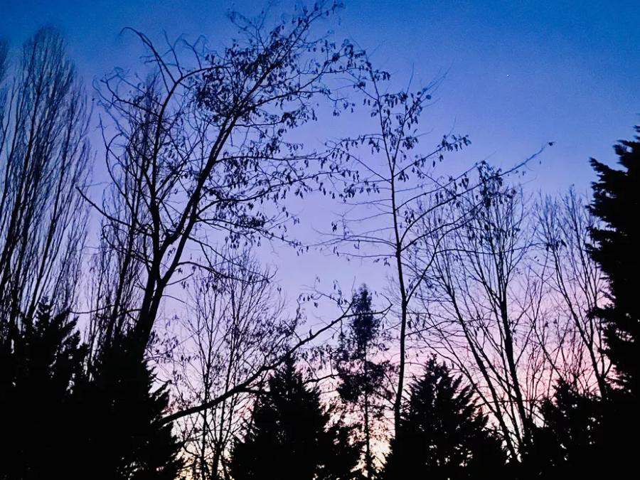 Flower Camping la Pibola, 3* - 11