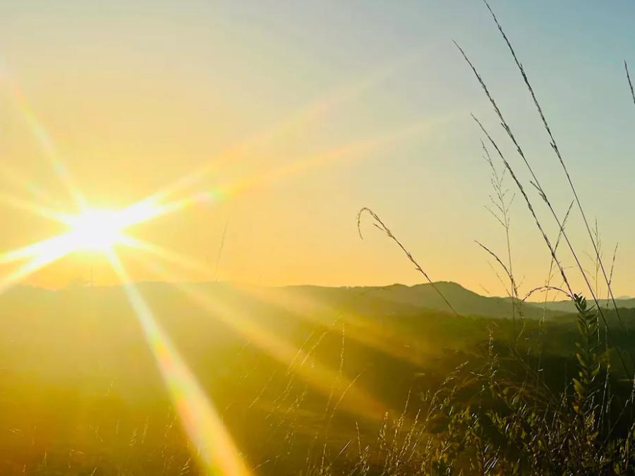 Flower Camping la Pibola, 3* - 10