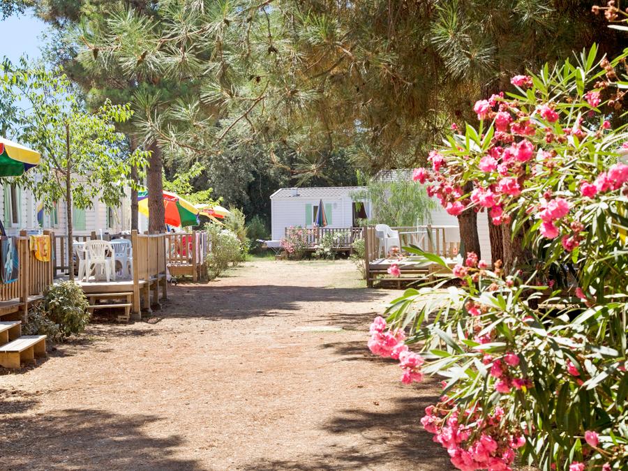 Camping Via Romana, 3* - 24