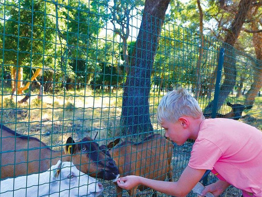 Camping Via Romana, 3* - 29