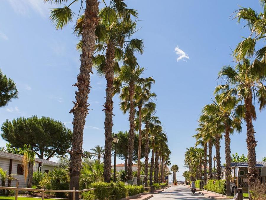 Espagne - Camping Estival Vendrell Platja, 4*