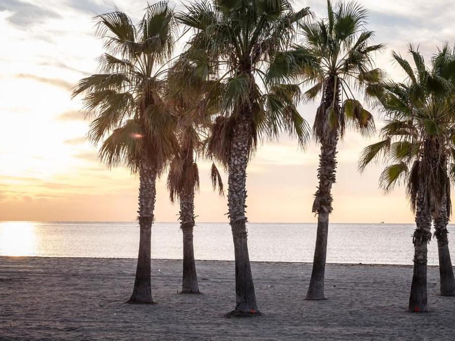 Espagne - Camping Estival Vendrell Platja, 4*