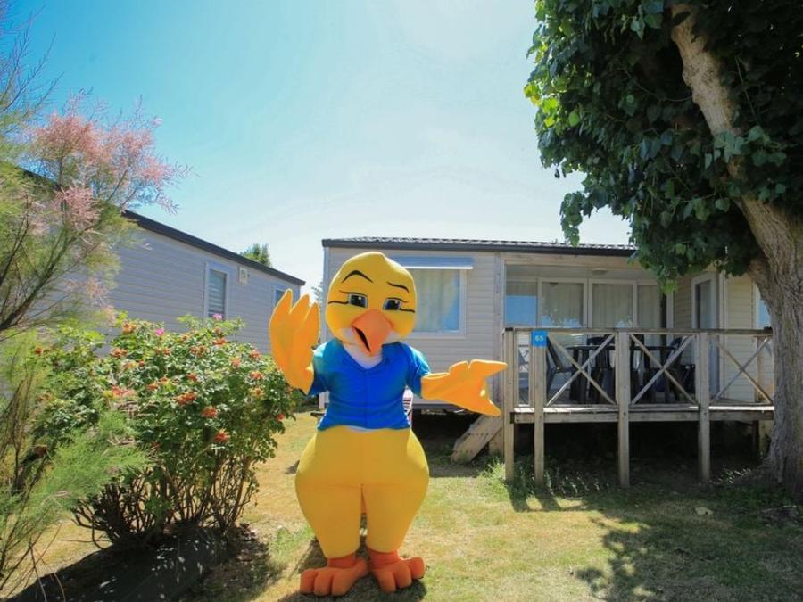 Camping Paradis - Le Grand R, 4* - 28