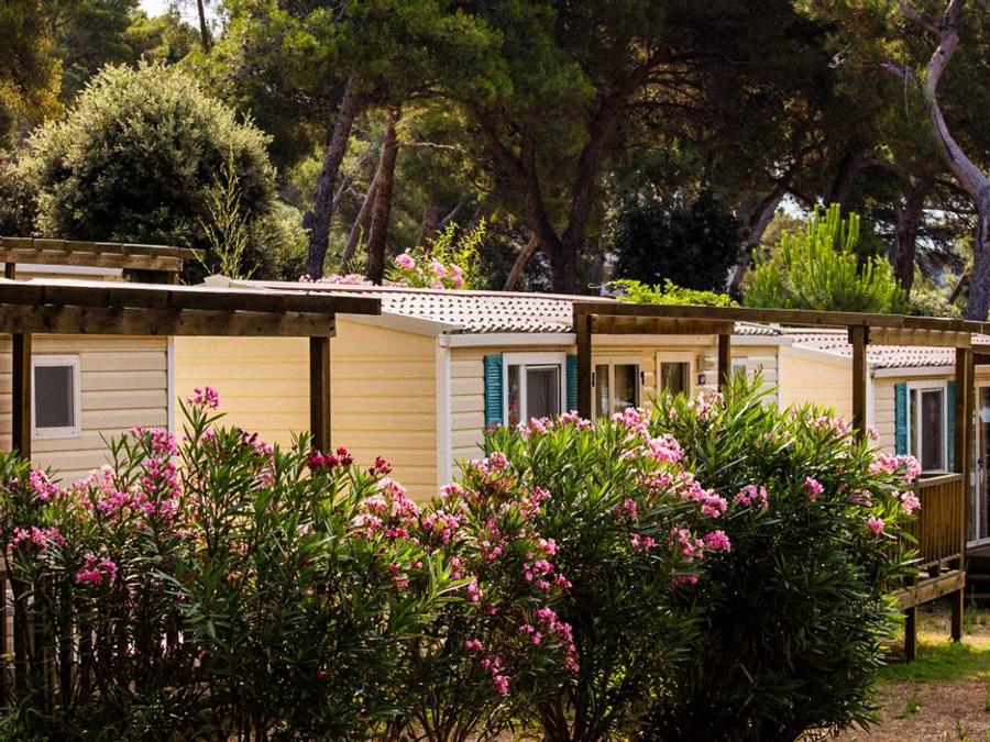 Camping Poljana, 4* - 149