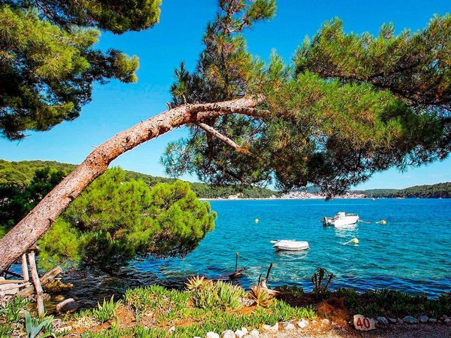 Camping Poljana, 4* - 104