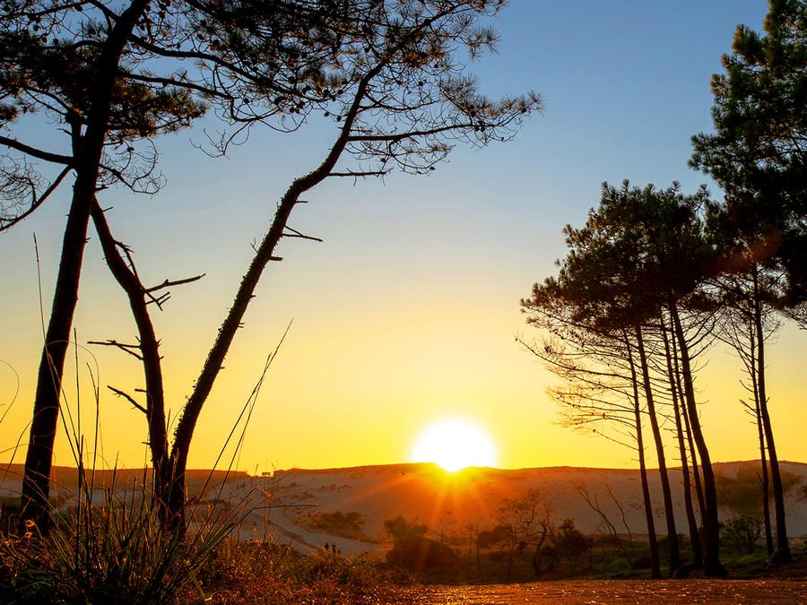 Camping Le Vieux Port, 5* - 93