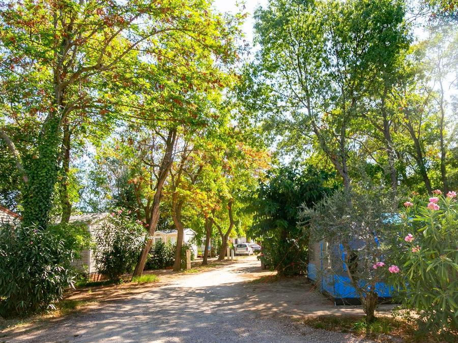 France - Occitanie (France) - Camping La Garenne, 3*