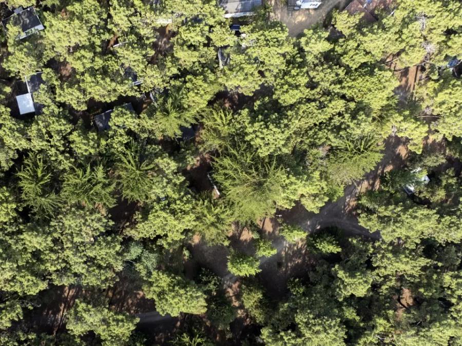 Camping maeva Respire Le Bois de La Gachère, 4* - 40