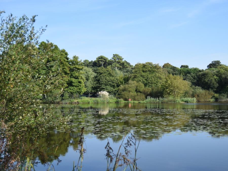 France - Camping Landae, 4*