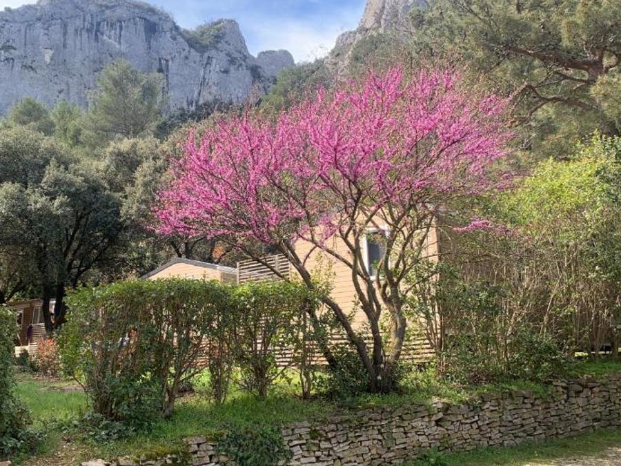 Camping La Vallée Heureuse Pausado, 4* - 14