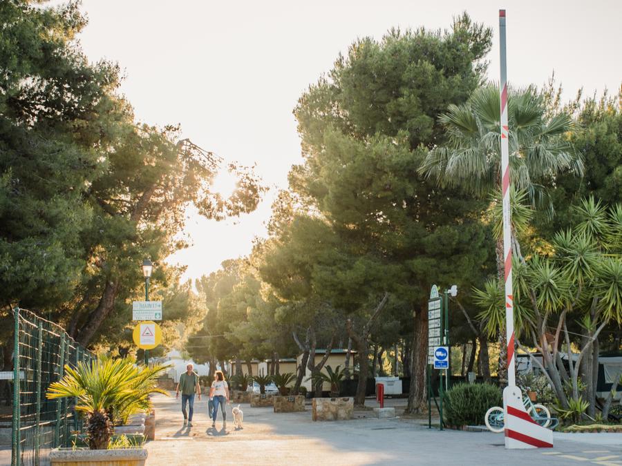 Camping Rais Gerbi, 3* - 193