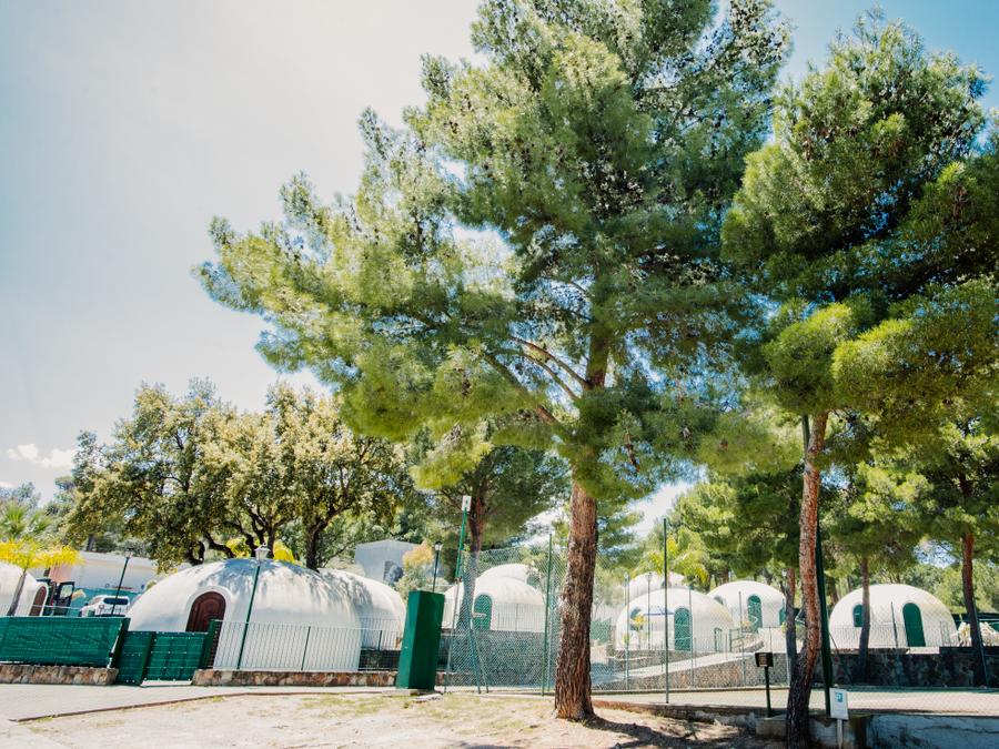 Camping Rais Gerbi, 3* - 137