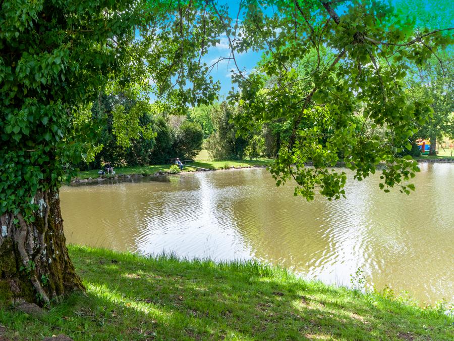 Camping les Etangs de Plessac, 4* - 57