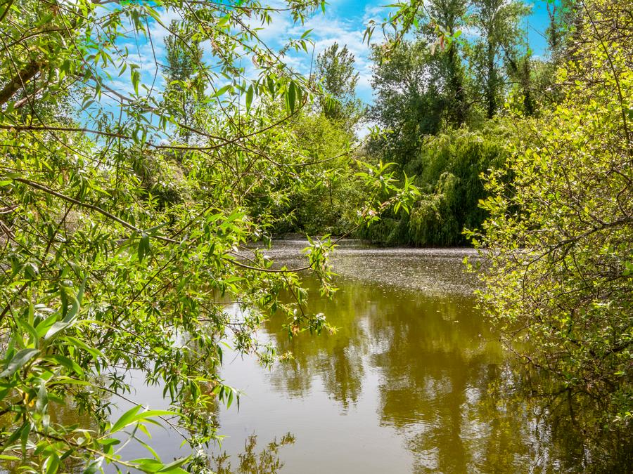 Camping les Etangs de Plessac, 4* - 63