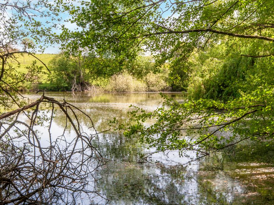 Camping les Etangs de Plessac, 4* - 58