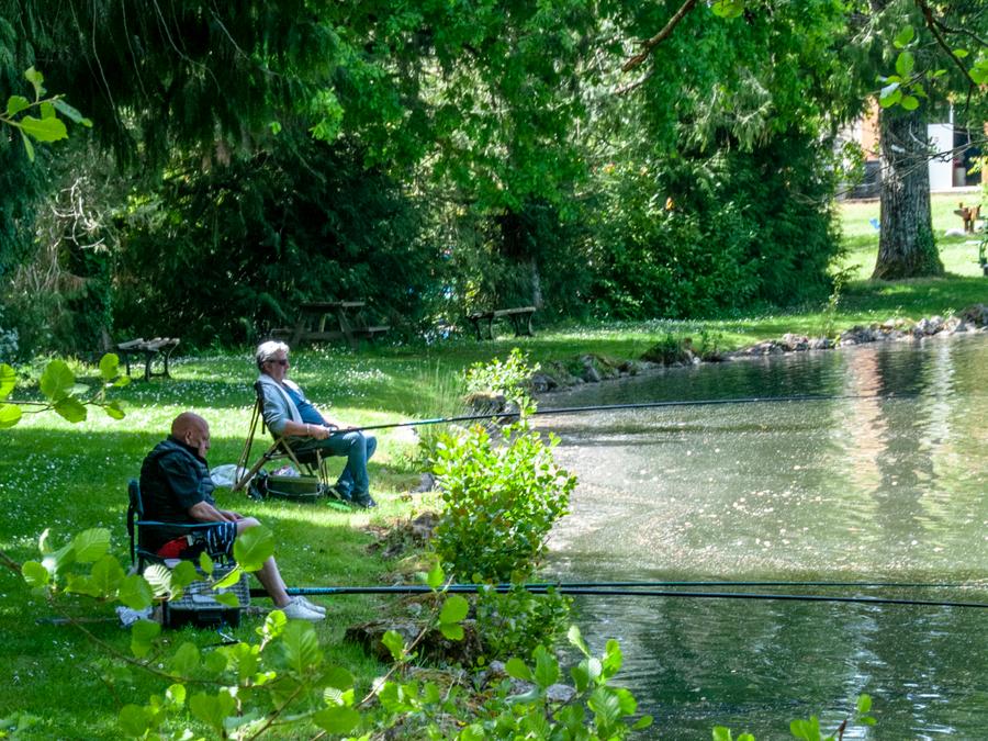 Camping les Etangs de Plessac, 4* - 7