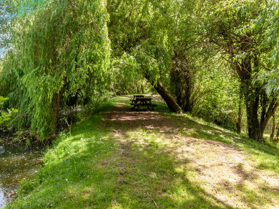 Camping les Etangs de Plessac, 4* - 59