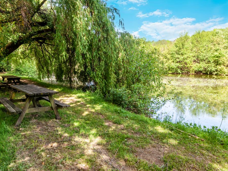 Camping les Etangs de Plessac, 4* - 60