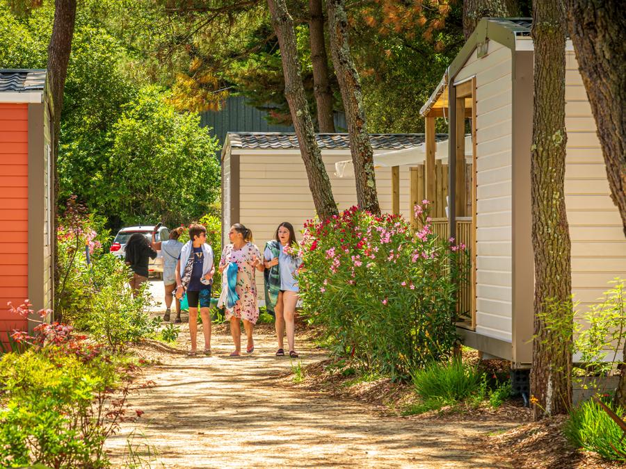 Camping Riez à la vie, 4* - 18
