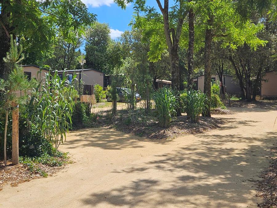 France - Camping Le Bois Verdon, 4*