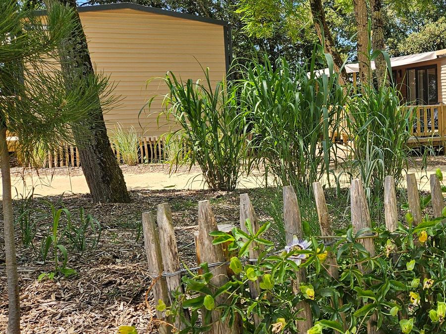 France - Camping Le Bois Verdon, 4*